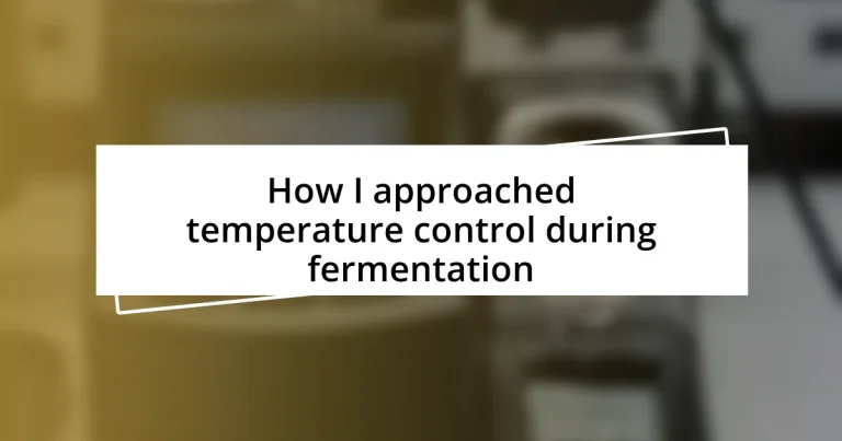 How I approached temperature control during fermentation