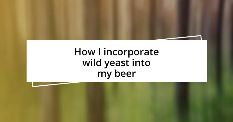 How I incorporate wild yeast into my beer