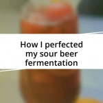 How I perfected my sour beer fermentation