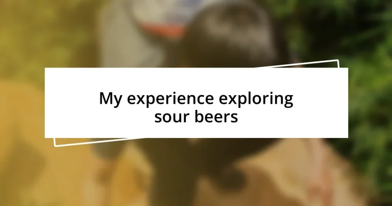 My experience exploring sour beers