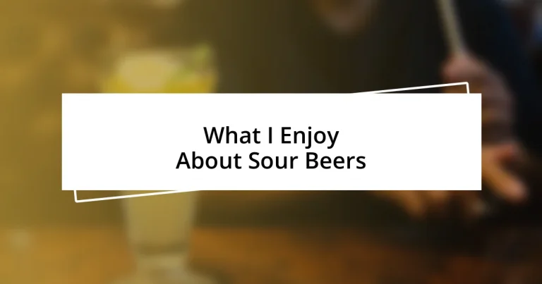 What I Enjoy About Sour Beers