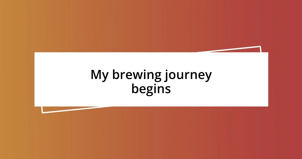 My brewing journey begins