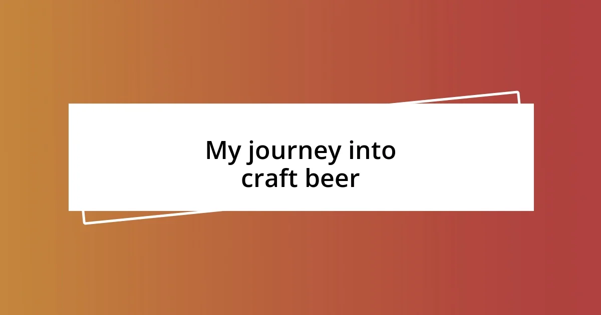 My journey into craft beer