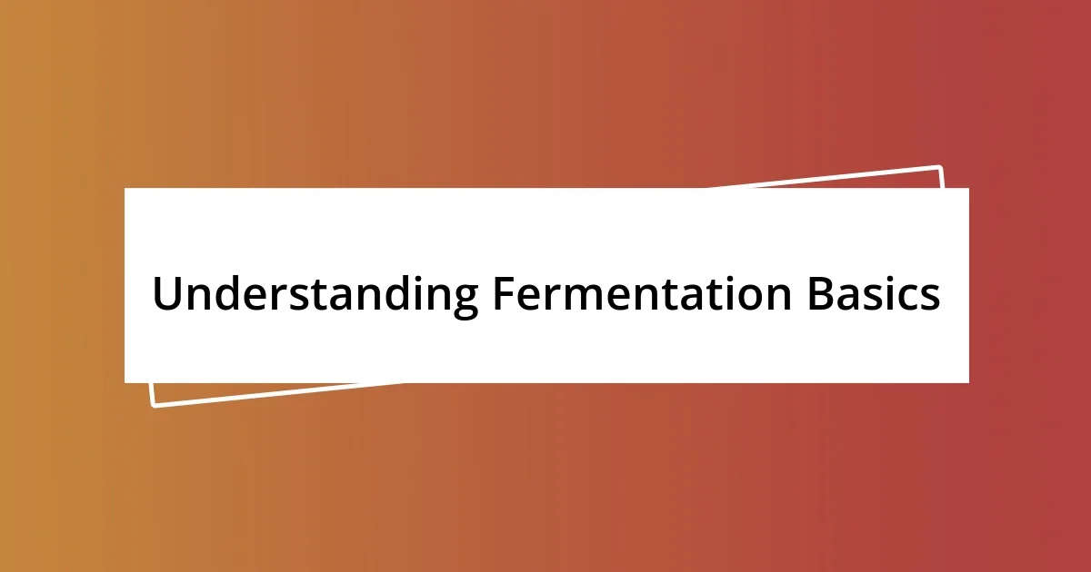 Understanding Fermentation Basics