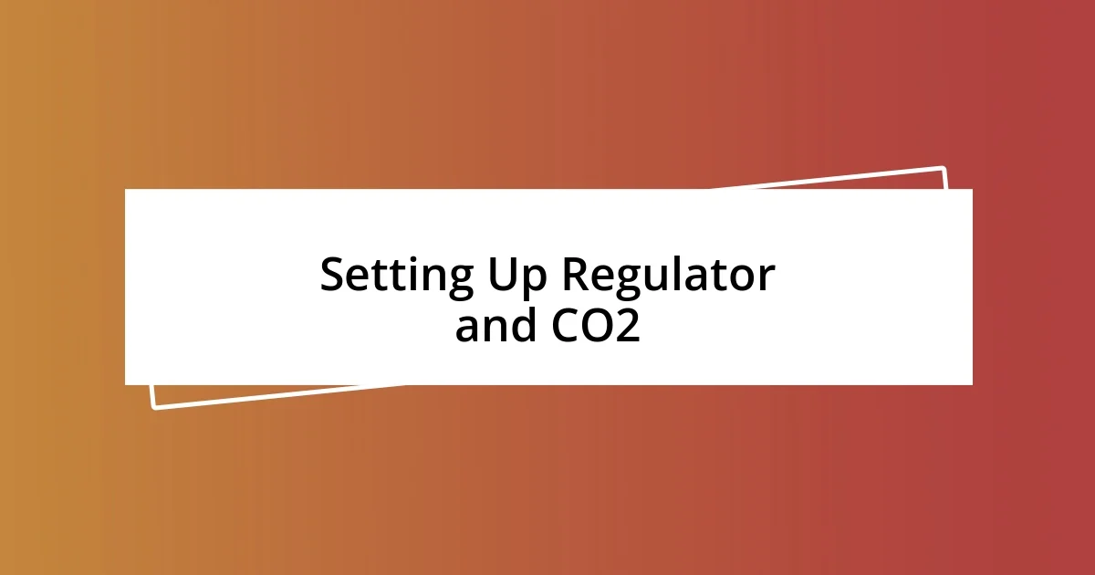 Setting Up Regulator and CO2