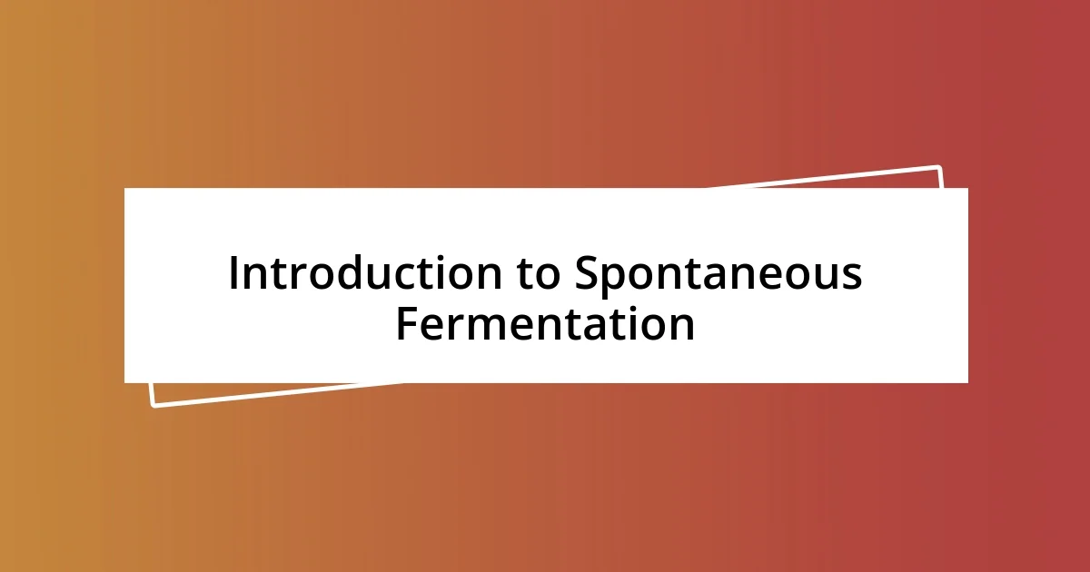 Introduction to Spontaneous Fermentation