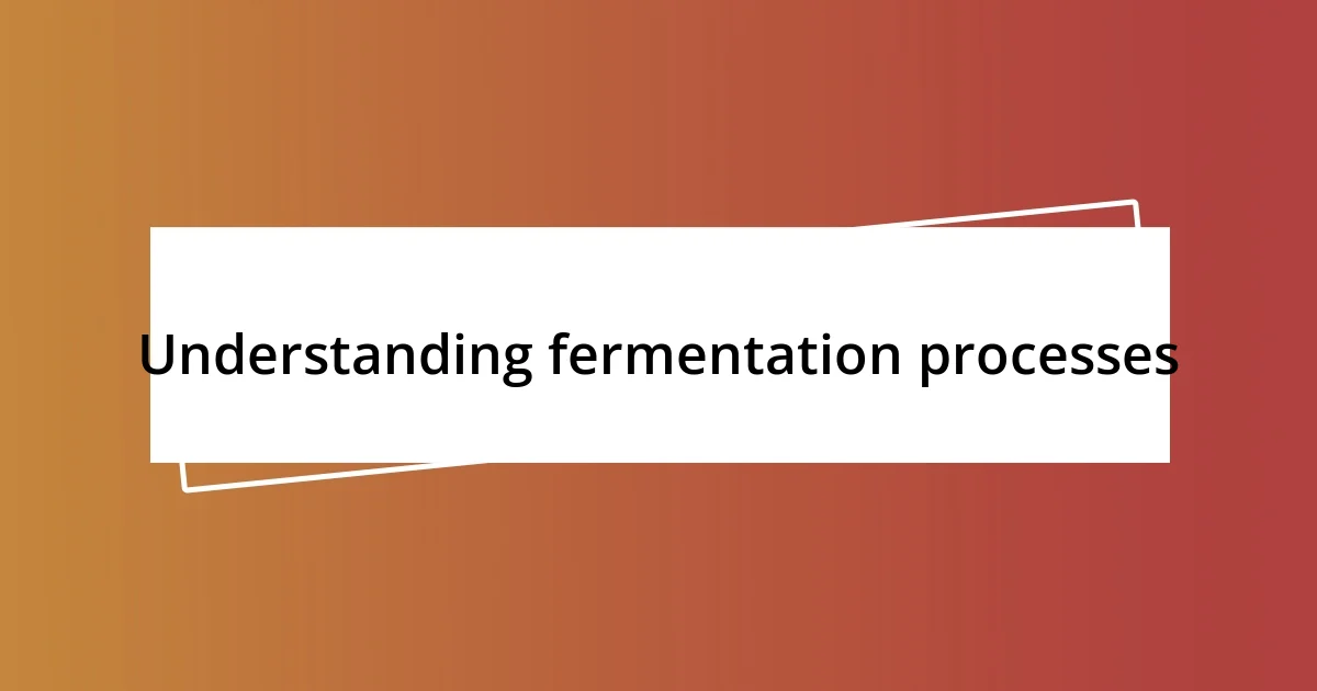 Understanding fermentation processes