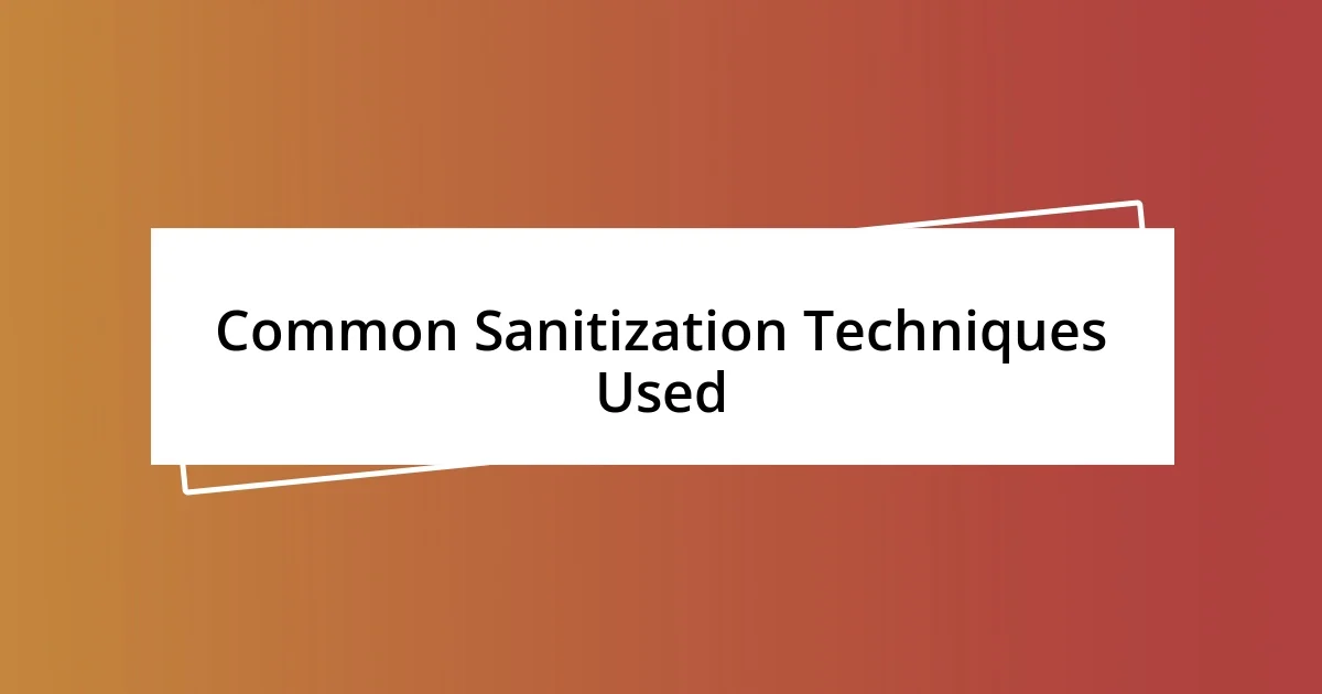 Common Sanitization Techniques Used