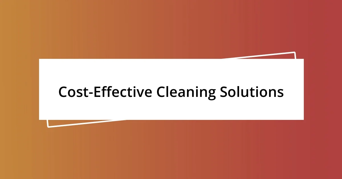 Cost-Effective Cleaning Solutions